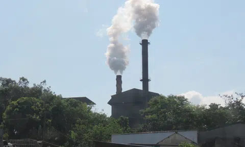 Đắk Lắk: Nhà máy mía đường 333 xả thải gây ô nhiễm môi trường